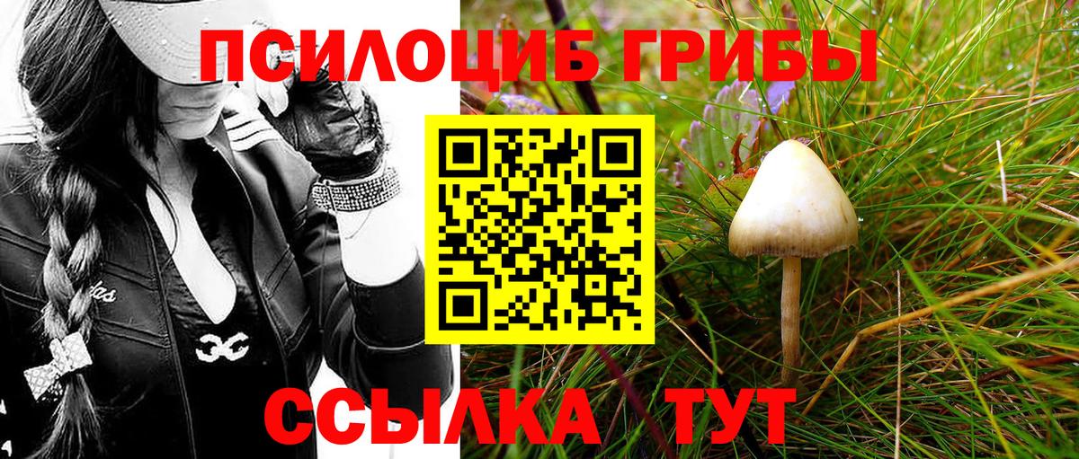 Кореновск  Галлюциногенные грибы мицелий  Вход с VPN 